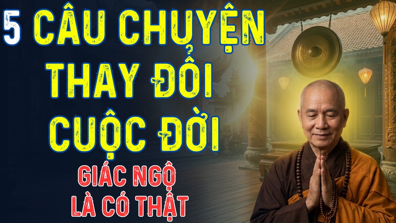 5 Câu Chuyện Chứng Minh Giác Ngộ Là Có Thật