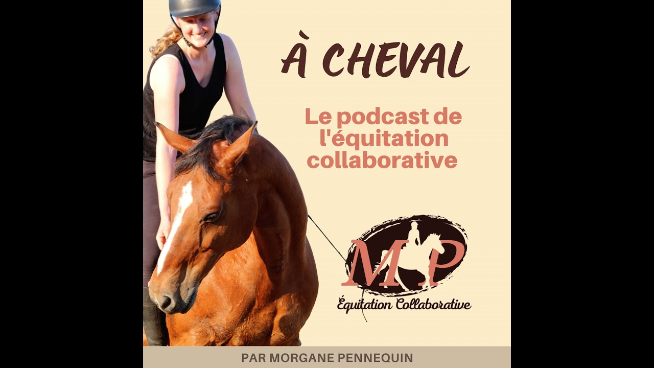 166. Qu'est-ce qu'on retient de 2025 version enseignante et cavalière