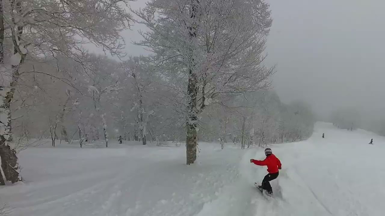 Endless Powder at Nozawa Onsen