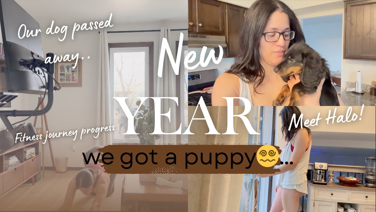 We got a PUPPY 😬...