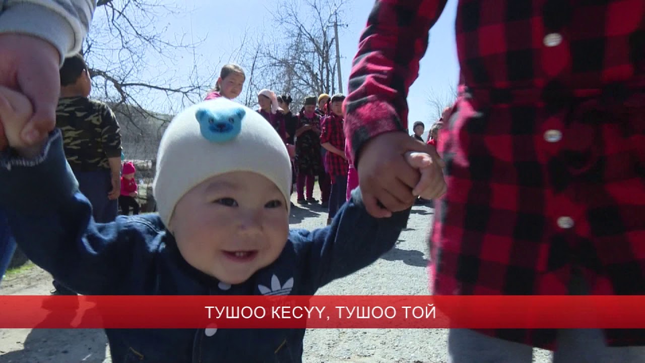 тушоо той 2019