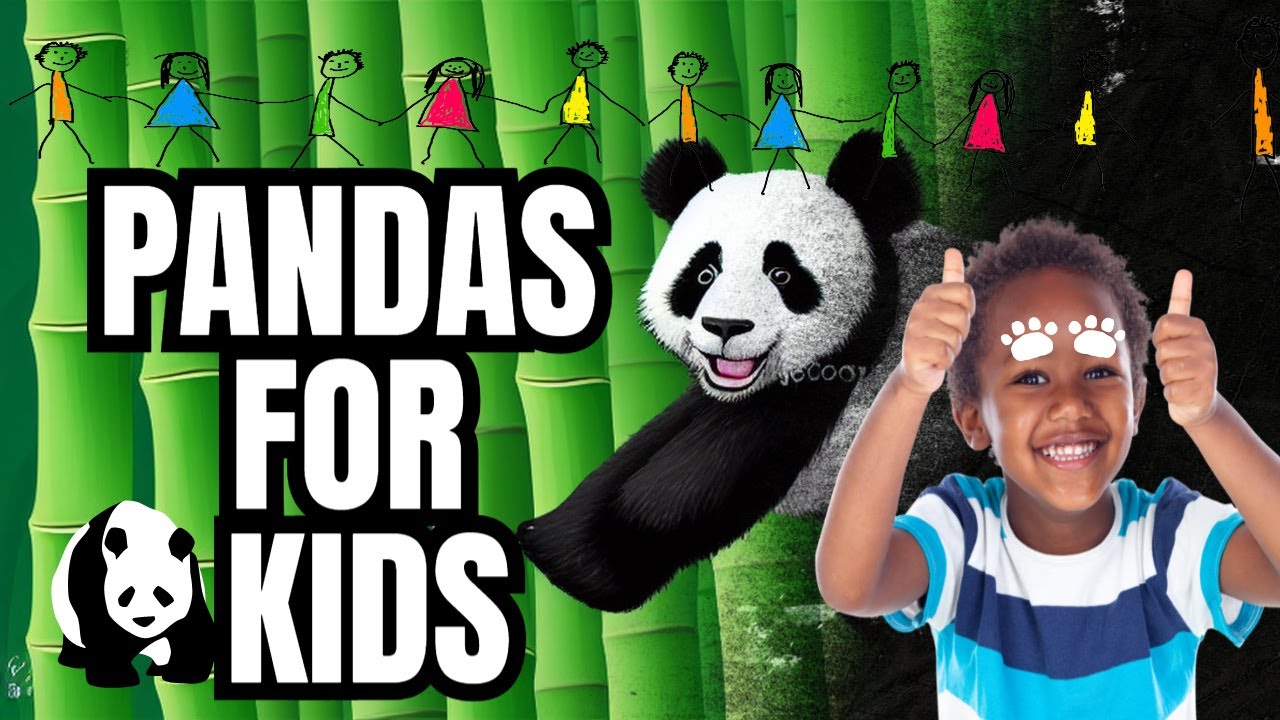 Fun Facts About Pandas