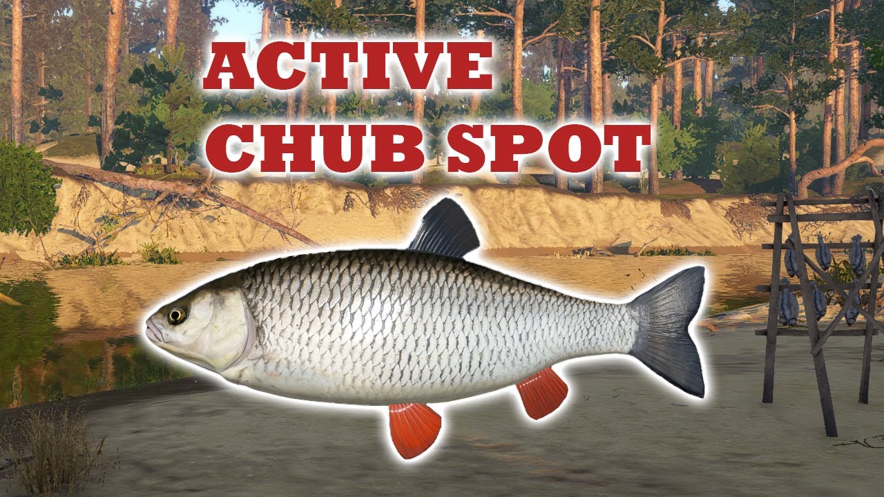 RF4 -  WINDING RIVULET ACTIVE CHUB SPOT