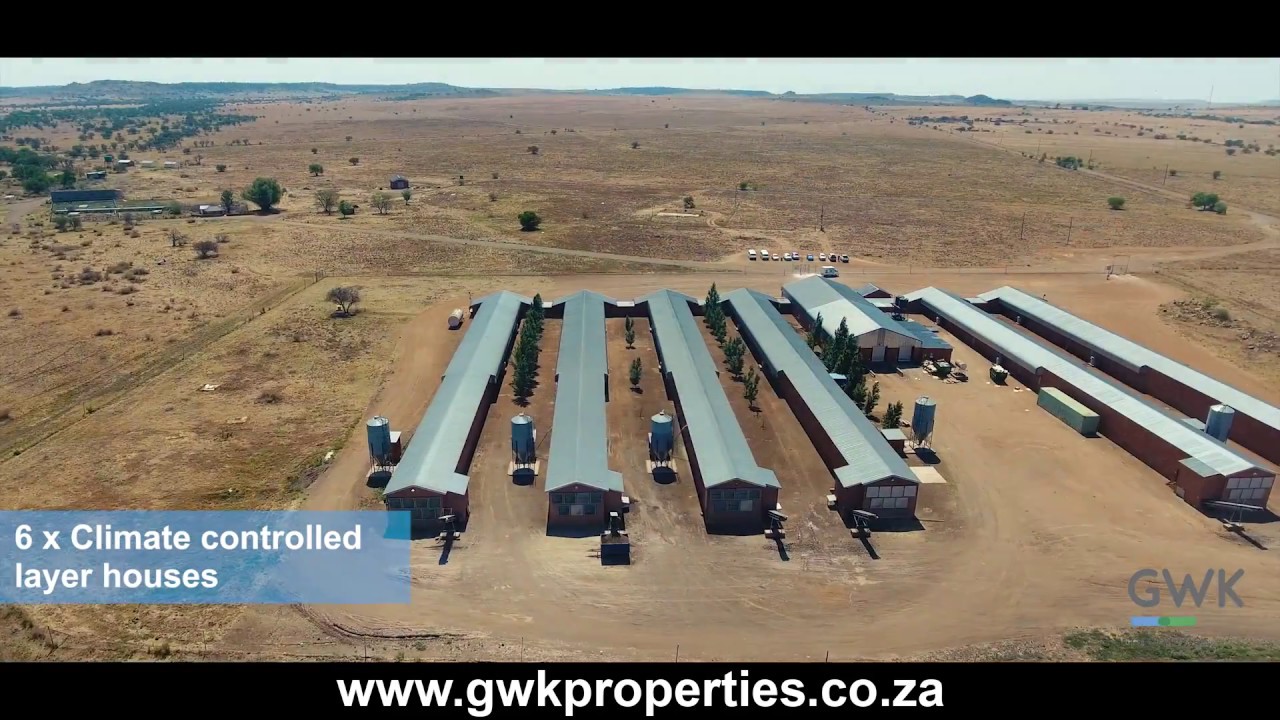 226 ha Table egg farm - Bloemfontein district