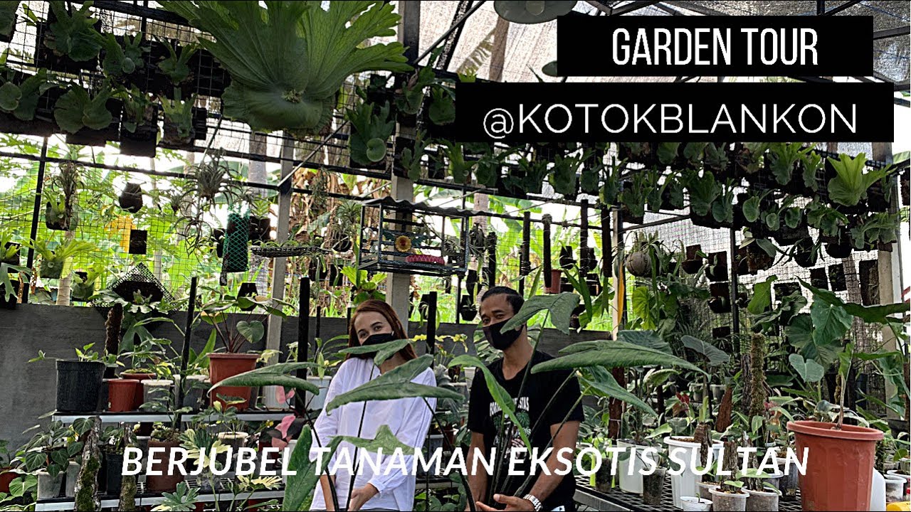 Vitality @kotokblankon Garden Tour, jenis tanamannya banyak banget!