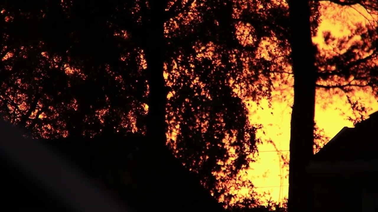 GAS - K&ouml;nigsforst 1