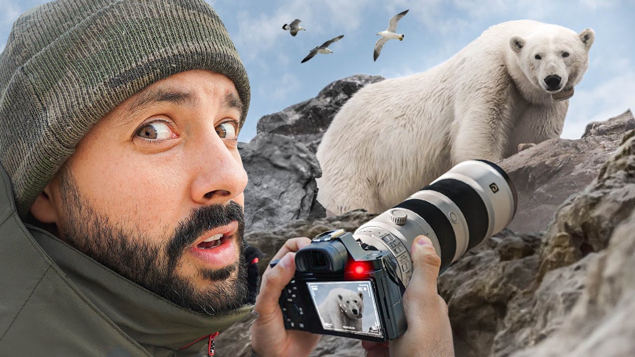 J'ai approché un ours polaire (Mike Horn n'était pas loin donc c'était ok)