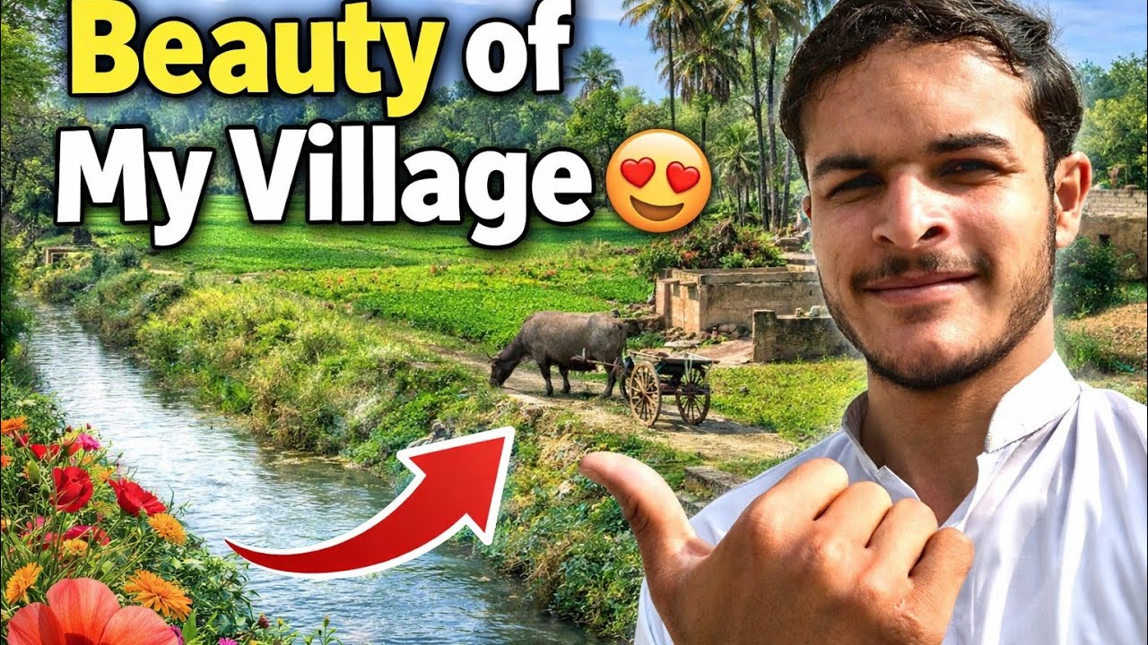 Beauty of my Village 🥰||Very Beautiful View|