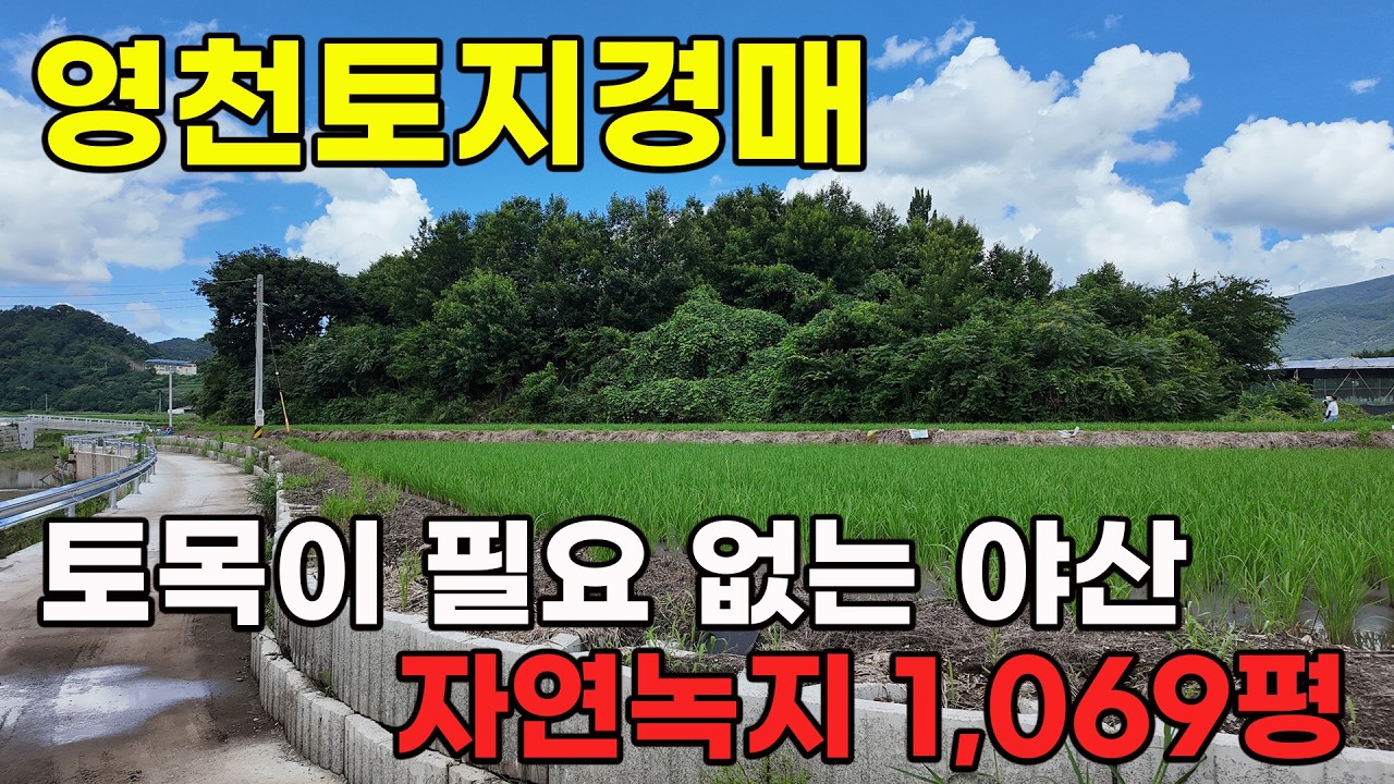 경북토지경매 3차 진행 중! 영천 신녕면 법원부동산경매 완벽 분석