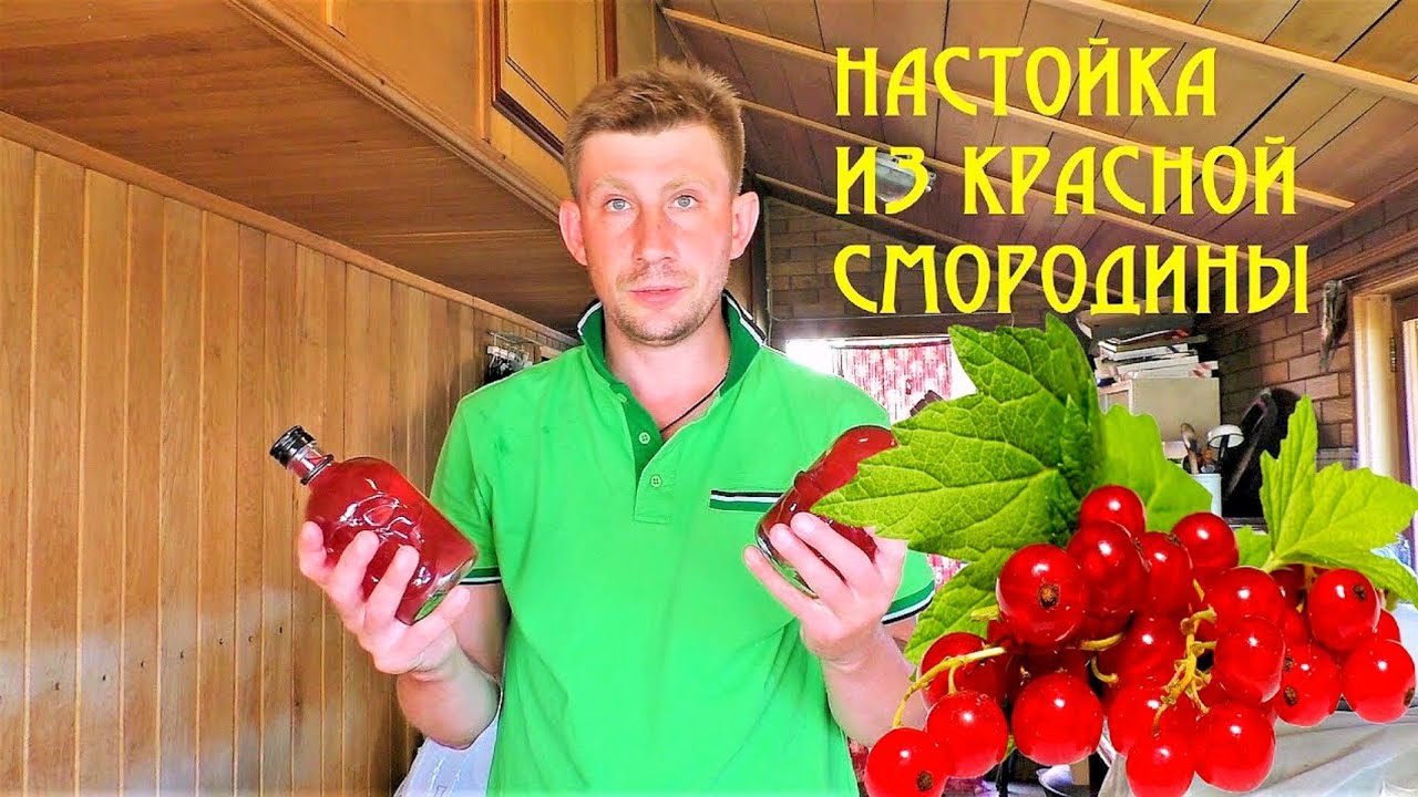 Быстрая настойка 