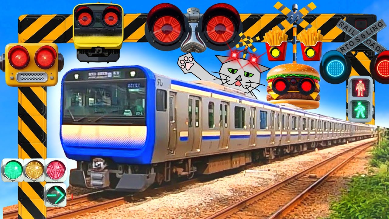 【電車】おもしろい踏切 信号 Funny railroad crossings and trains 横須賀線E235系