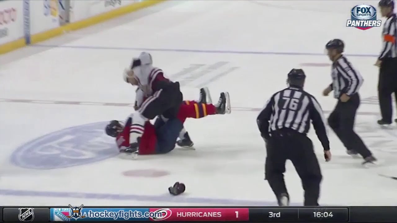 Andrew Desjardins vs Alex Petrovic Jan 22, 2016