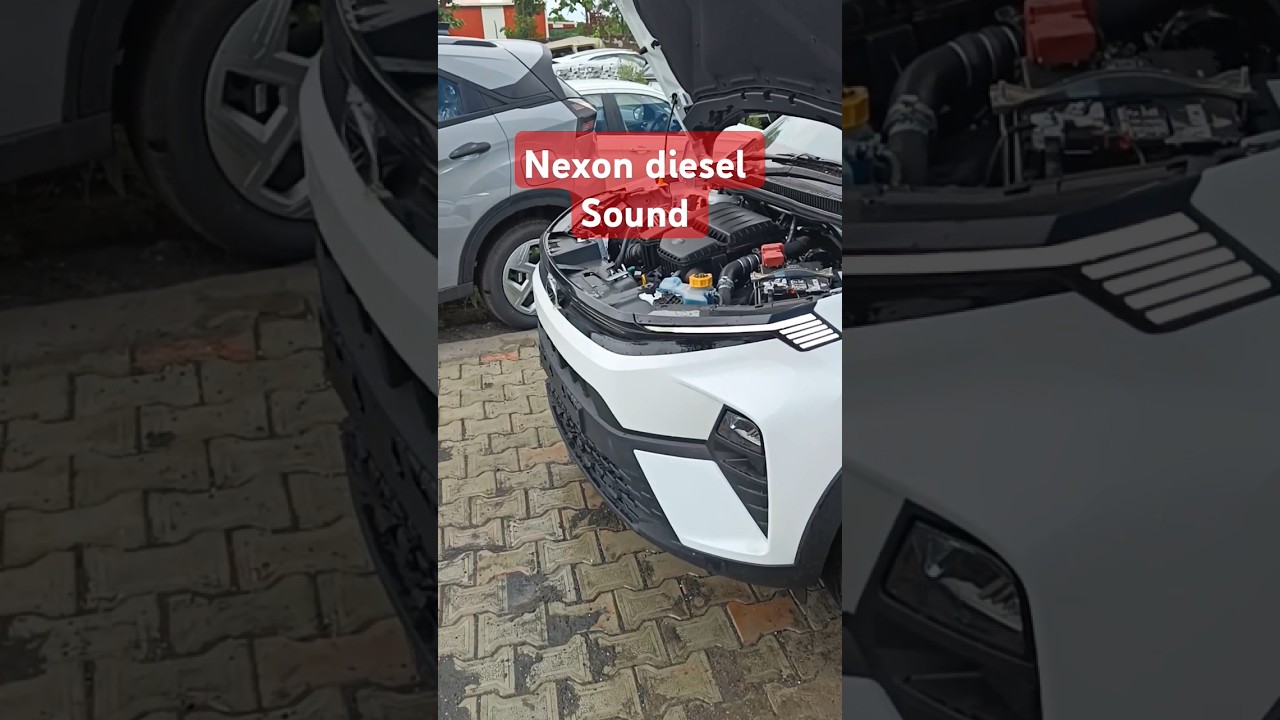 Nexon smart+ diesel #trendingshorts #nexon #viralvideo #tata #food #car #diesel #dieselengine