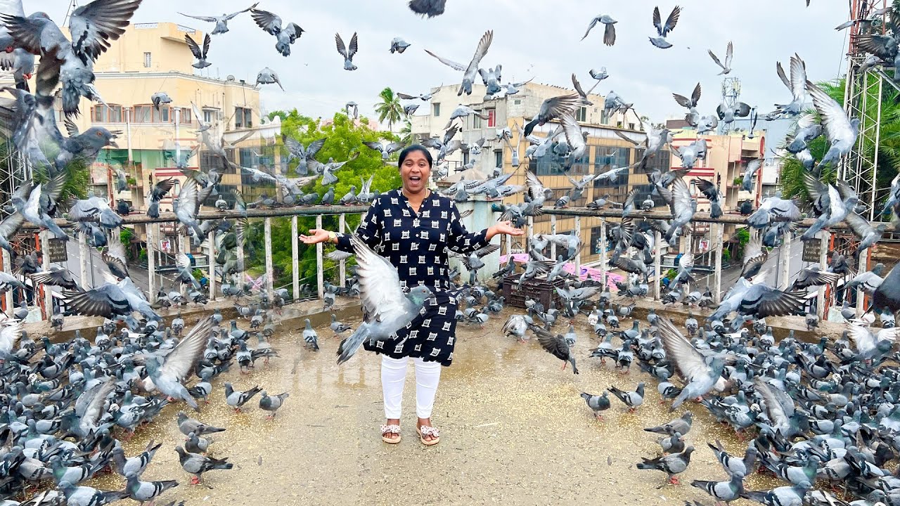 Tank bund hyderabad || best place to visit in hyderabad || hyderabad Full tour || #hyderabad