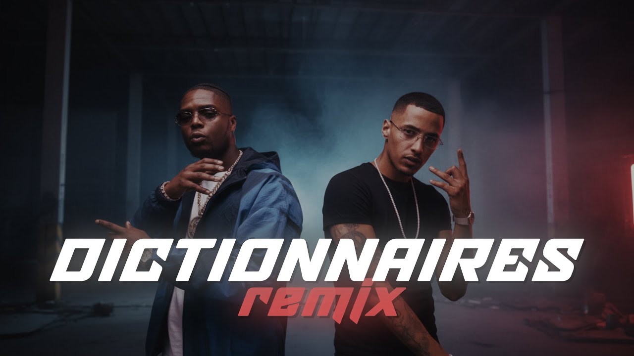 Ninho Ft. Freeze Corleone - Dictionnaires (Remix) (Prod. Stonee)
