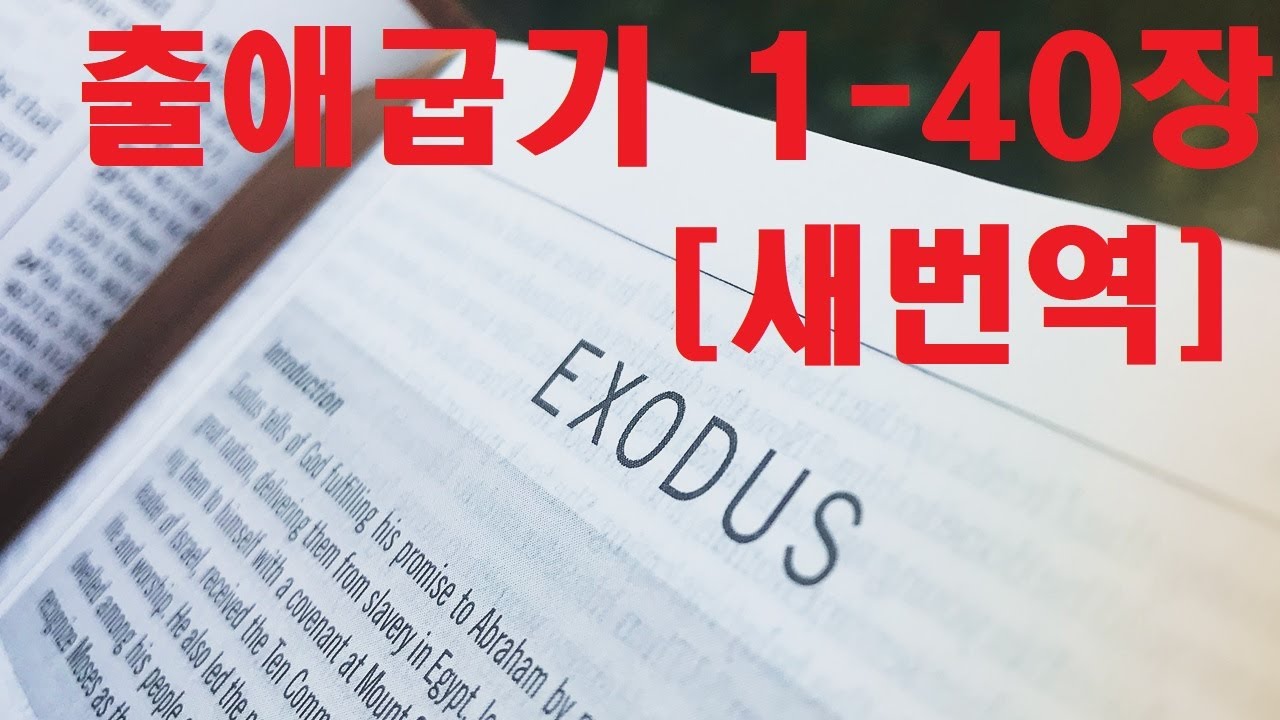 출애굽기 1-40장 [새번역] Exodus/너희는 내가 이집트 사람에게 한 일을 보았고 어미 독수리가 그 날개로 새끼를 업어 나르듯이 너희를 인도하여 나에게로 데려온 것도 보았다