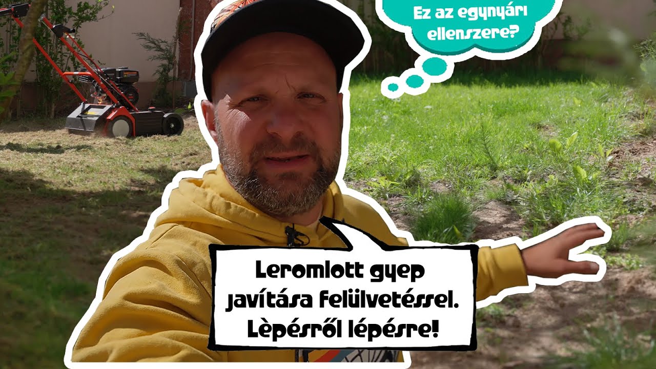 Leromlott gyep javítása felülvetéssel. Lèpésről lépésre!
