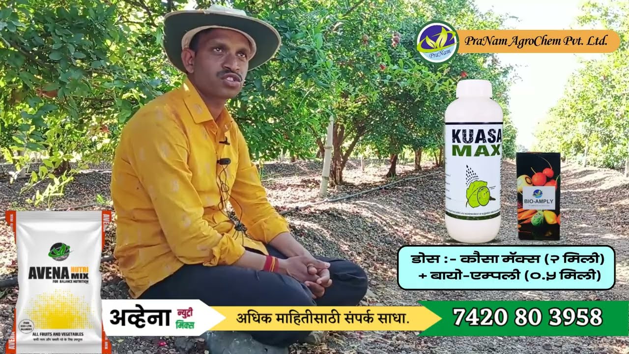 माझा #अवेना न्यूट्री मिक्स वर पूर्ण  विश्वास आहे./I AM USING AVENA NUTRI MIX; I AM CONFIDENT IN POMO