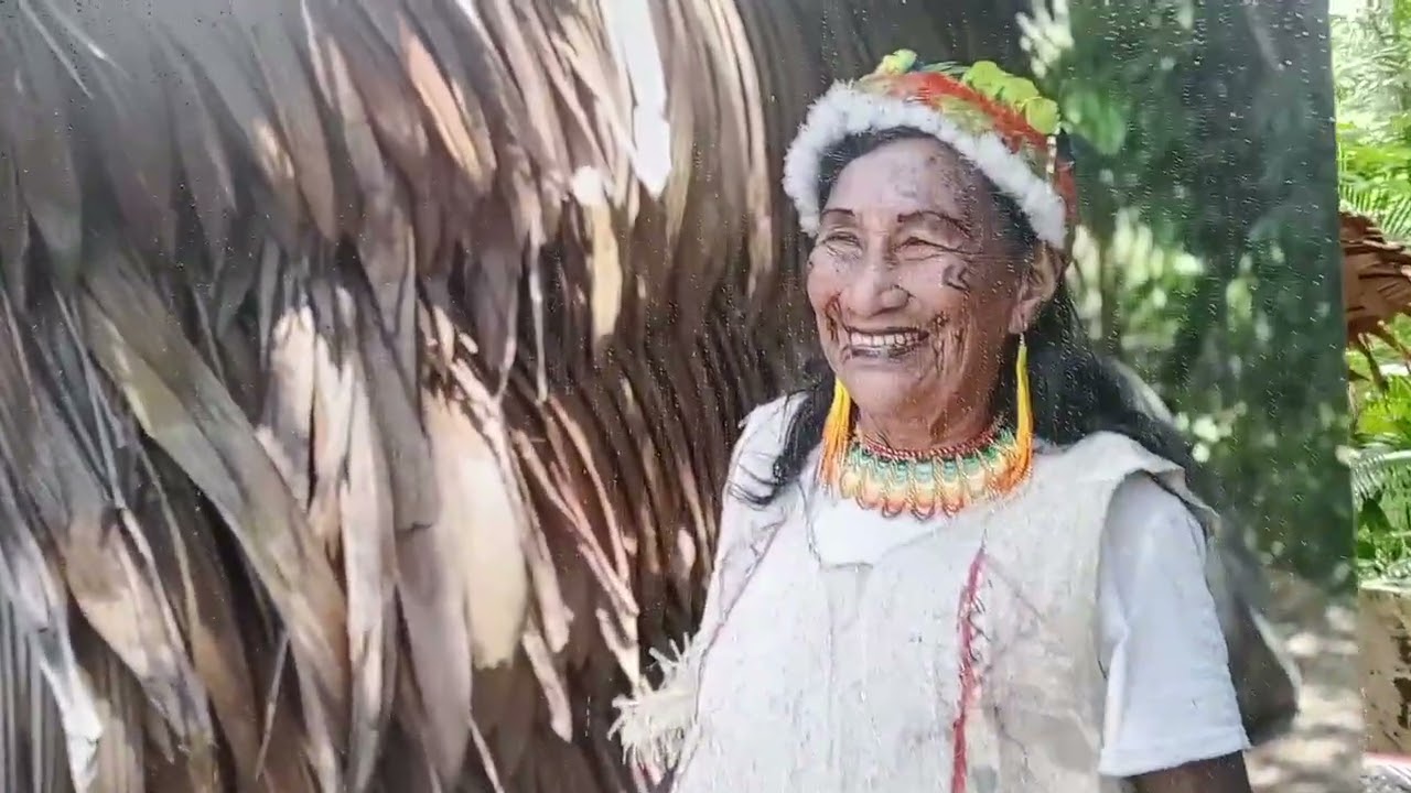 24/01/2026 Passeio pelo Bosque da Ciência do INPA em Manaus. Прогулка по Лесу Науки INPA в Манаусе.