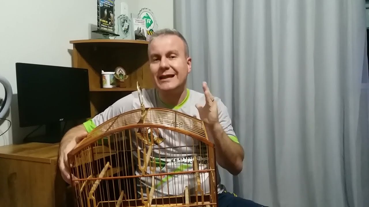 EMPOLEIRAÇÃO DE TRINCA FERRO DE TORNEIO- VÍDEO 2