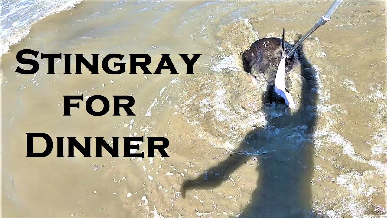 Stingray Catch & Cook. Clay Tall Stories