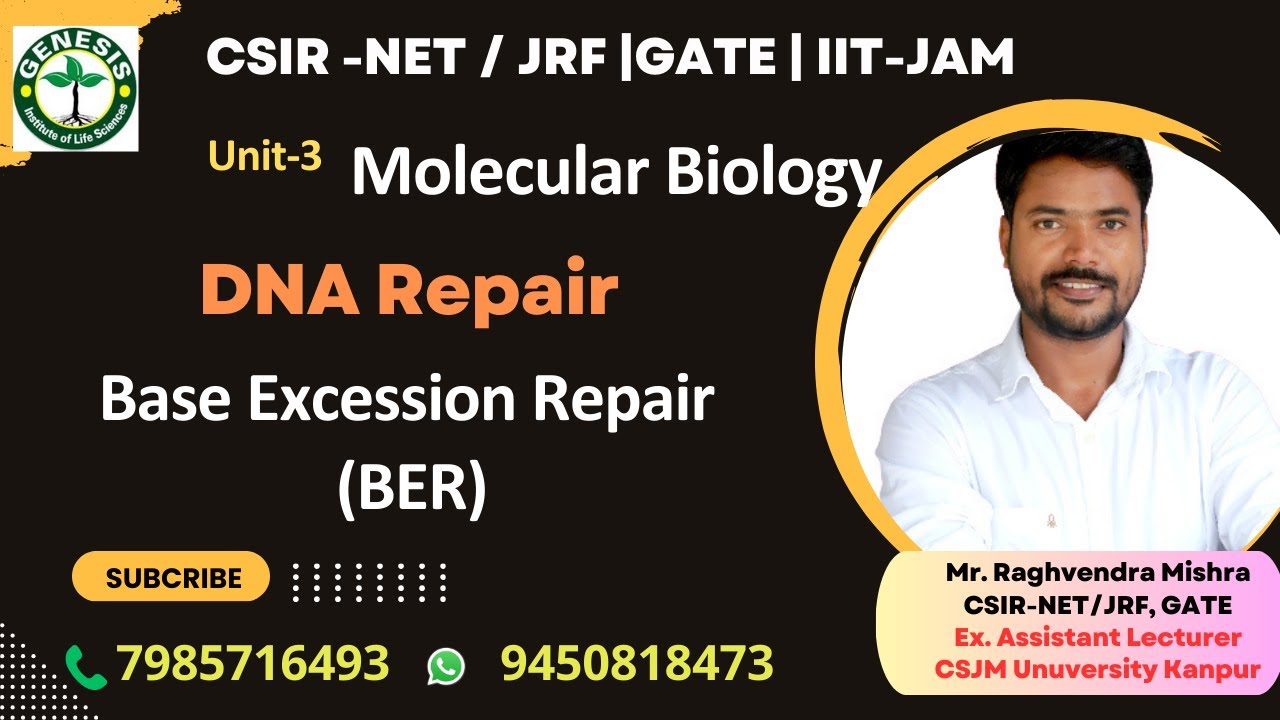 Base Excision Repair | BER | DNA Repair | Molecular Biology 