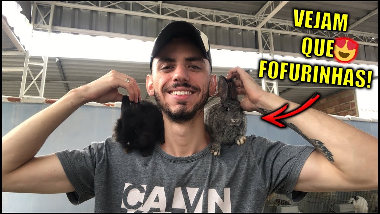 Fizemos o desmame dos nossos COELHINHOS FILHOTES | Estão muito LEVADOS
