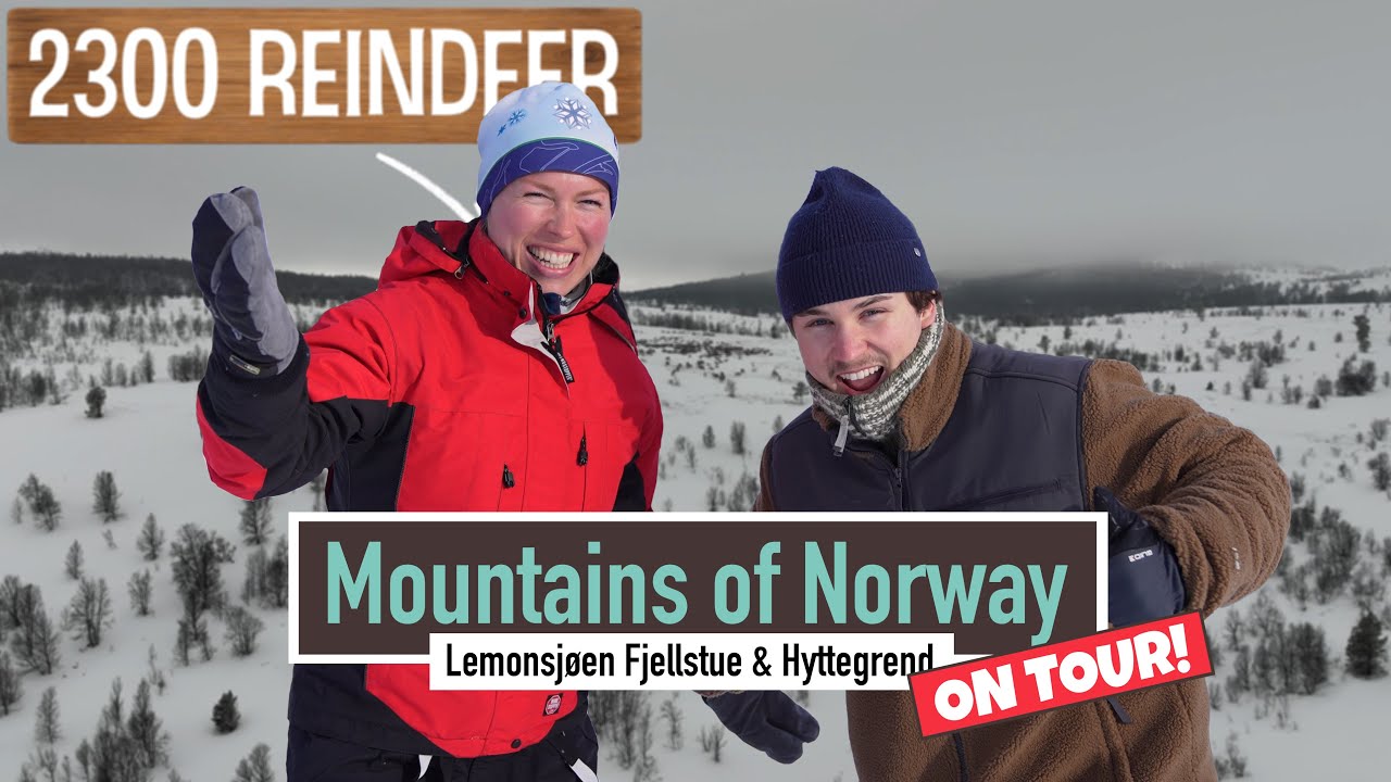 We found 2300 REINDEER (!!) | Mountains of Norway on Tour