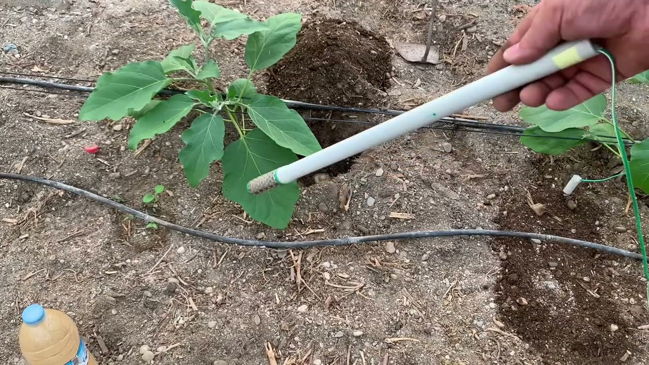 Instalación de sondas de humedad, automatización del riego con el equipo Agualytics riego