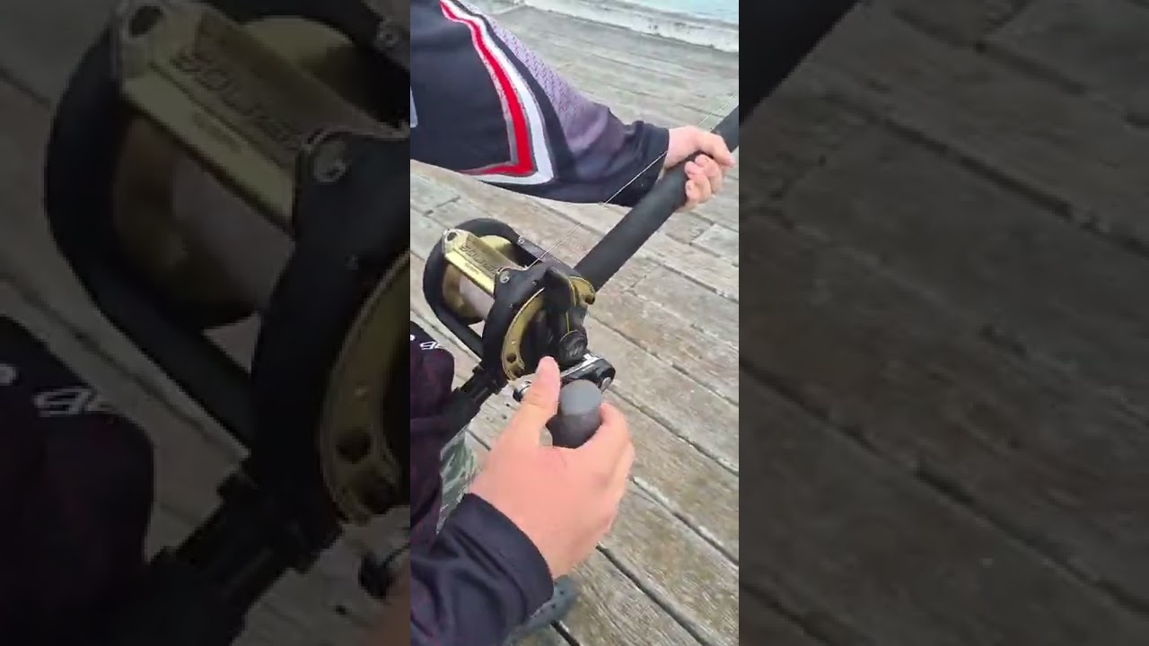 😳😳huge fish hooked up on tathra warf . double hookup