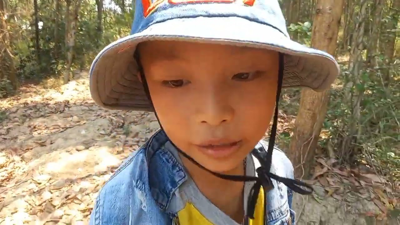cận cảnh bắt con Ve ve về ăn