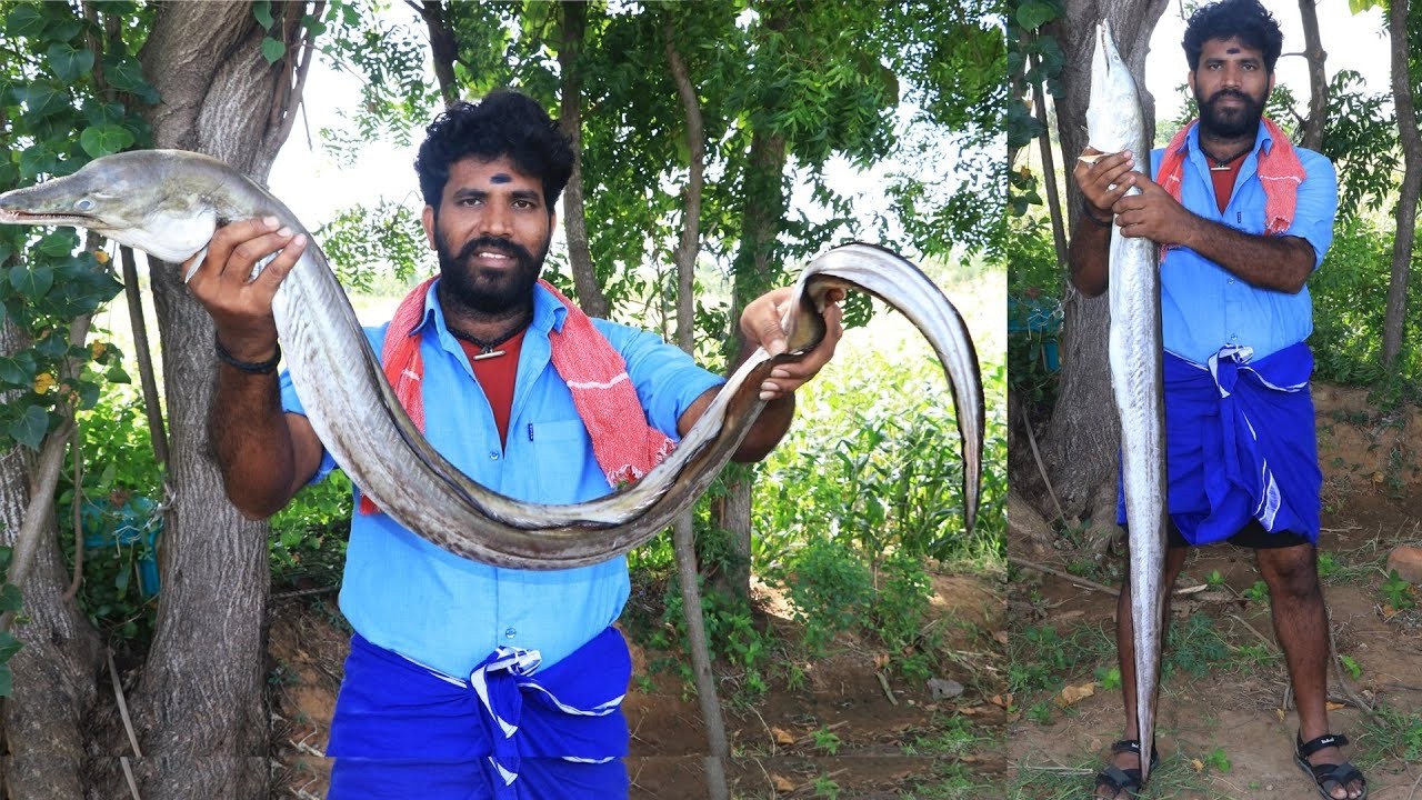 7Kg Big Snake Fish Curry | Cooking AND Eating In Village Man | Spicy Curry