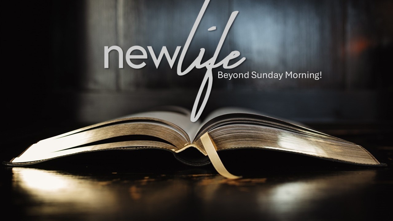 Beyond Sunday Morning Bible Study - Luke 24