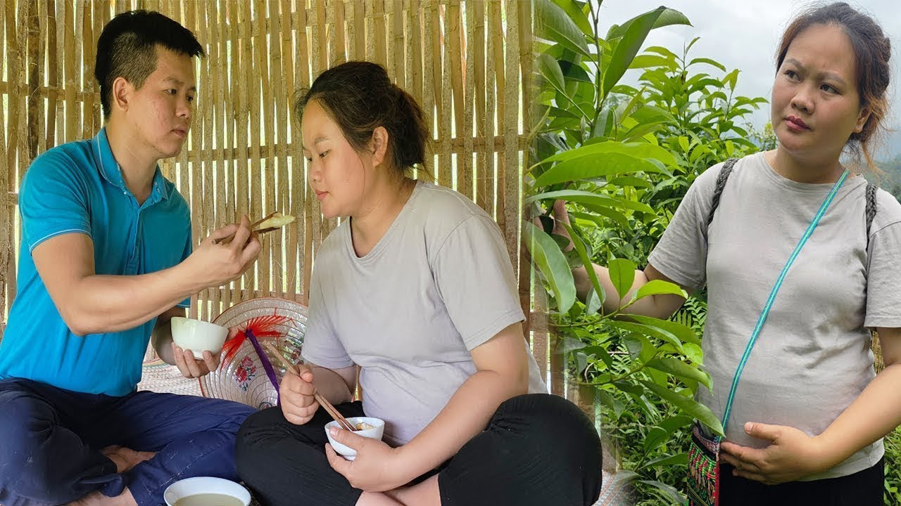 TIMELAPSE The true life of a 20 year old girl - Harvest cucumbers to sell - He always cares for me