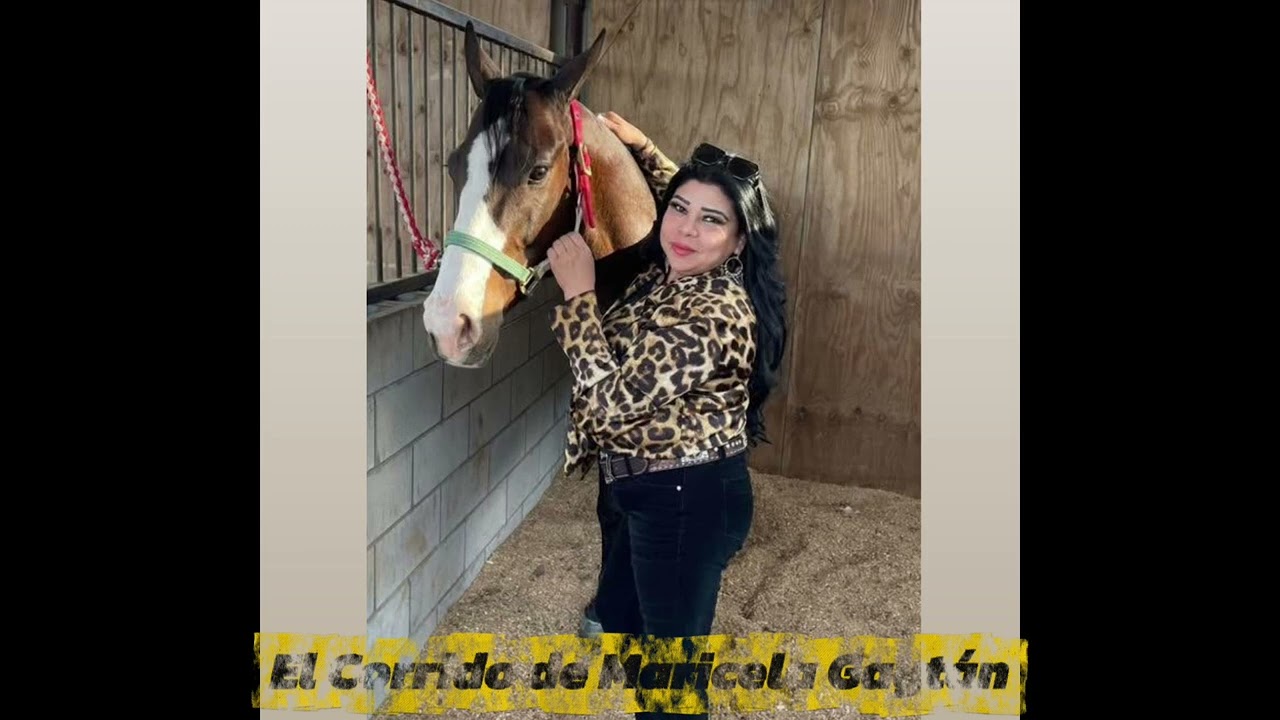 El Corrido de Maricela Gaytán - Zac Music