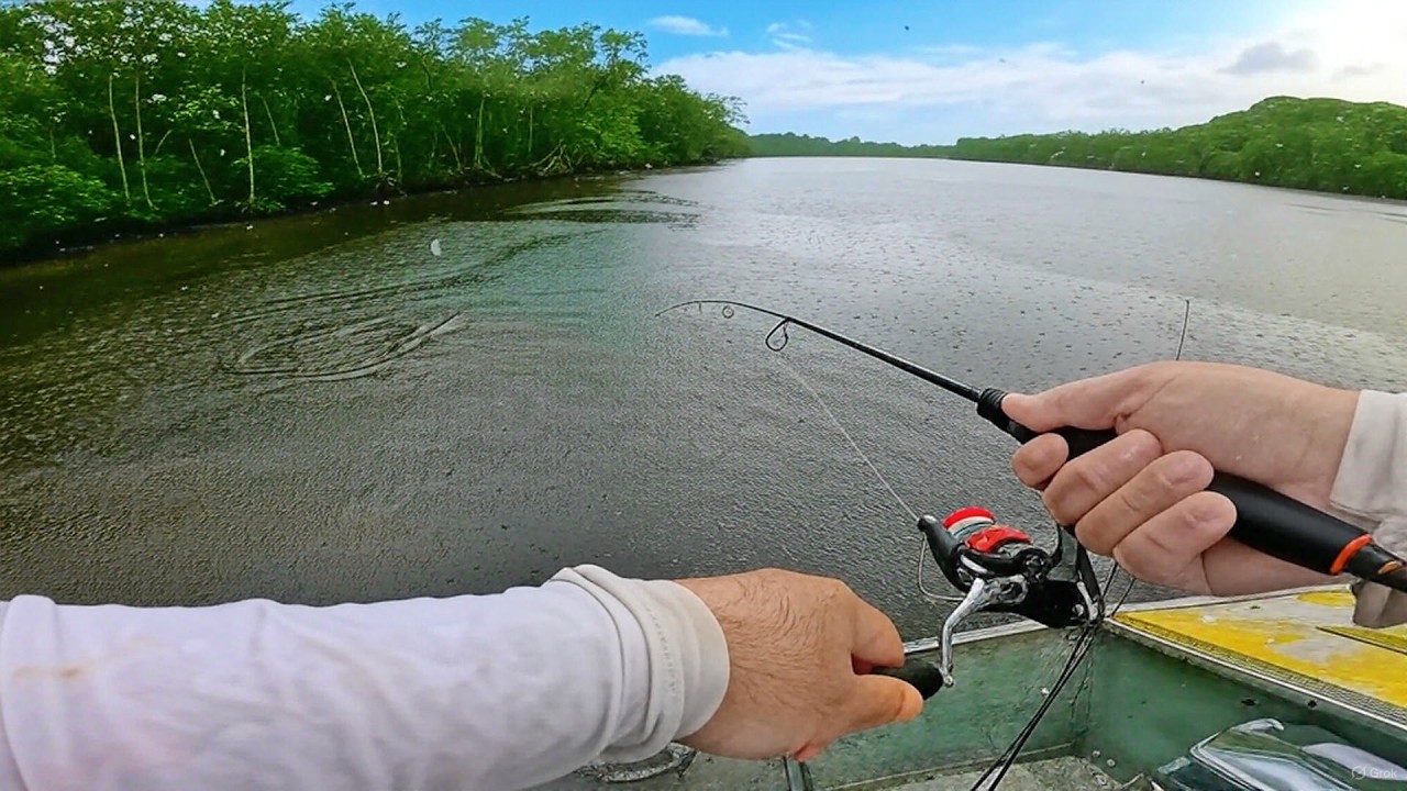 PESCARIA de ROBALO no MANGUE com ISCAS ARTIFICIAIS - RIO MARIANA, SÃO VICENTE, HUMAITÁ