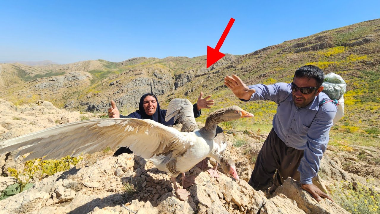 😱 The old man revealed the secret of a hidden mountain | Mirza and Tajmah's surprising discovery 🏔️