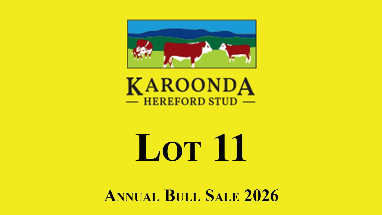Lot 11 SKSV908 Karoonda 2026