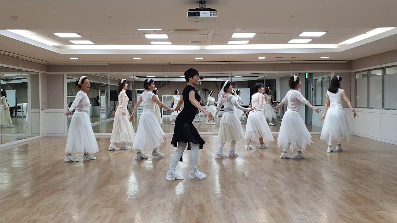 I Love You So Line Dance(Beginner Level)