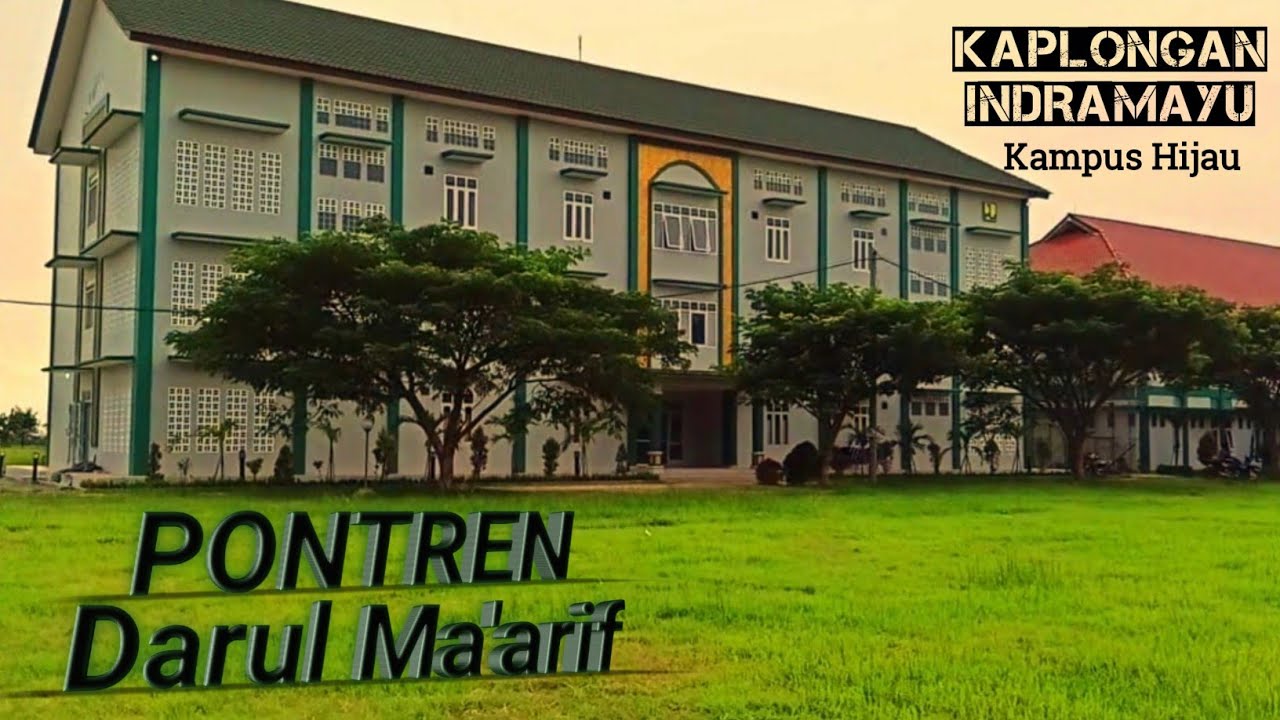 Aktivitas Santriwati Pontren Darul Ma'arif #1 | kaplongan karangampel Indramayu