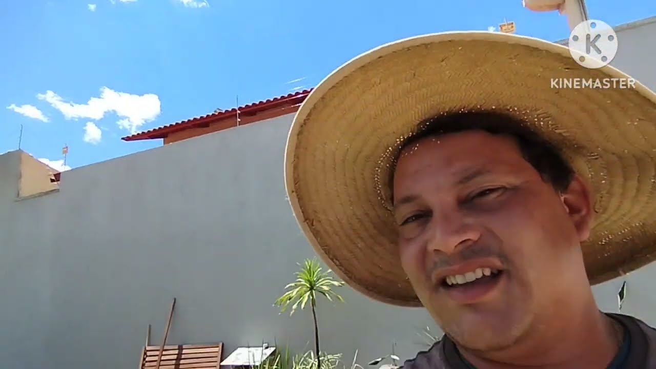como pintar seu lago ornamental e como estalar o filtro uv