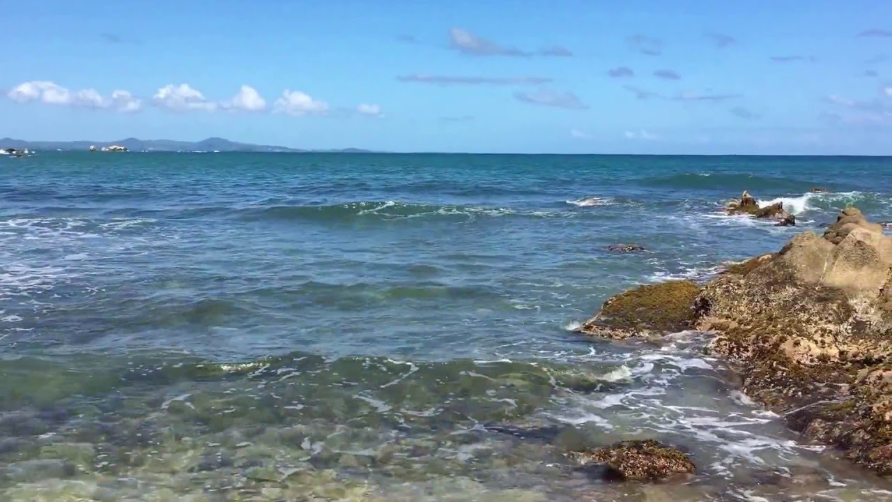 Puerto Rico tiny perfect beach | Palmas del Mar | Humacao