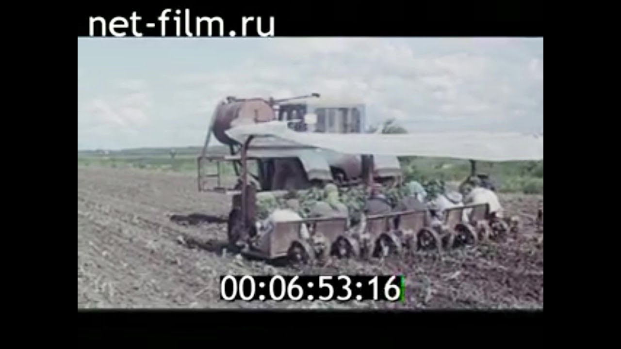 1982г. Мещёра. река Ока. писатель Борис Можаев. Рязанская обл