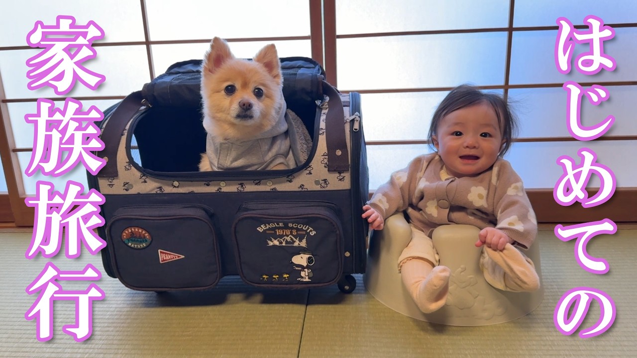 【家族旅行】生後7ヶ月の赤ちゃんと初めての家族旅行！愛犬と一緒に泊まれる温泉旅館に行ってきました！【鬼怒川温泉 絆】