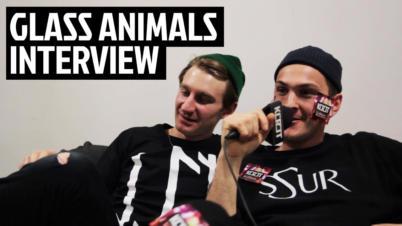 Glass Animals Interview / 2015.03.31. / Akvárium, Budapest HU