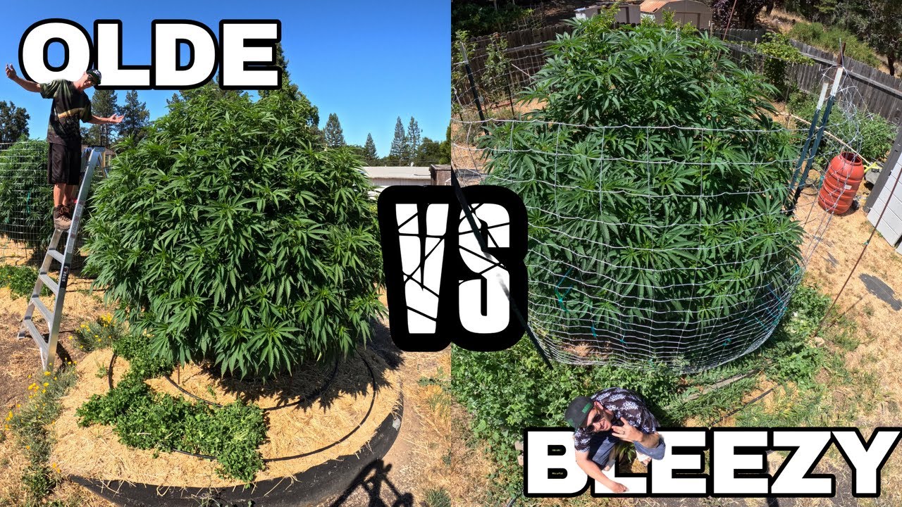 Growing The Biggest Plants In The World - 