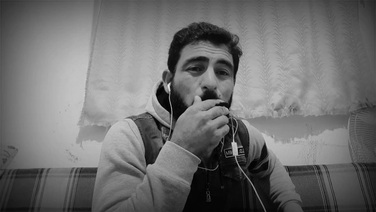 قصة.طيور.شلوه.