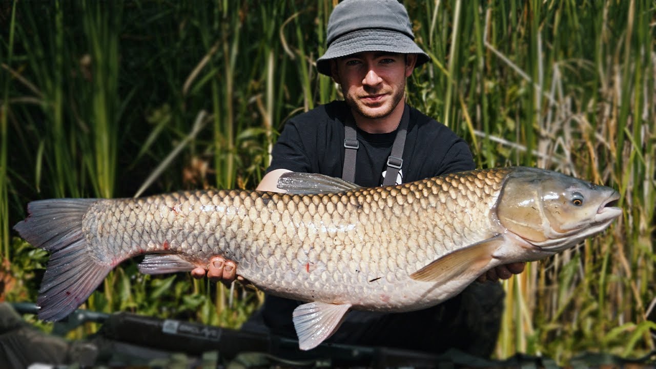 PIĘKNE RYBY na METHOD FEEDER!