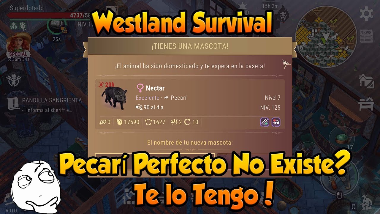 Westland Survival El Pecarí Perfecto No Existe? Te lo Tengo!