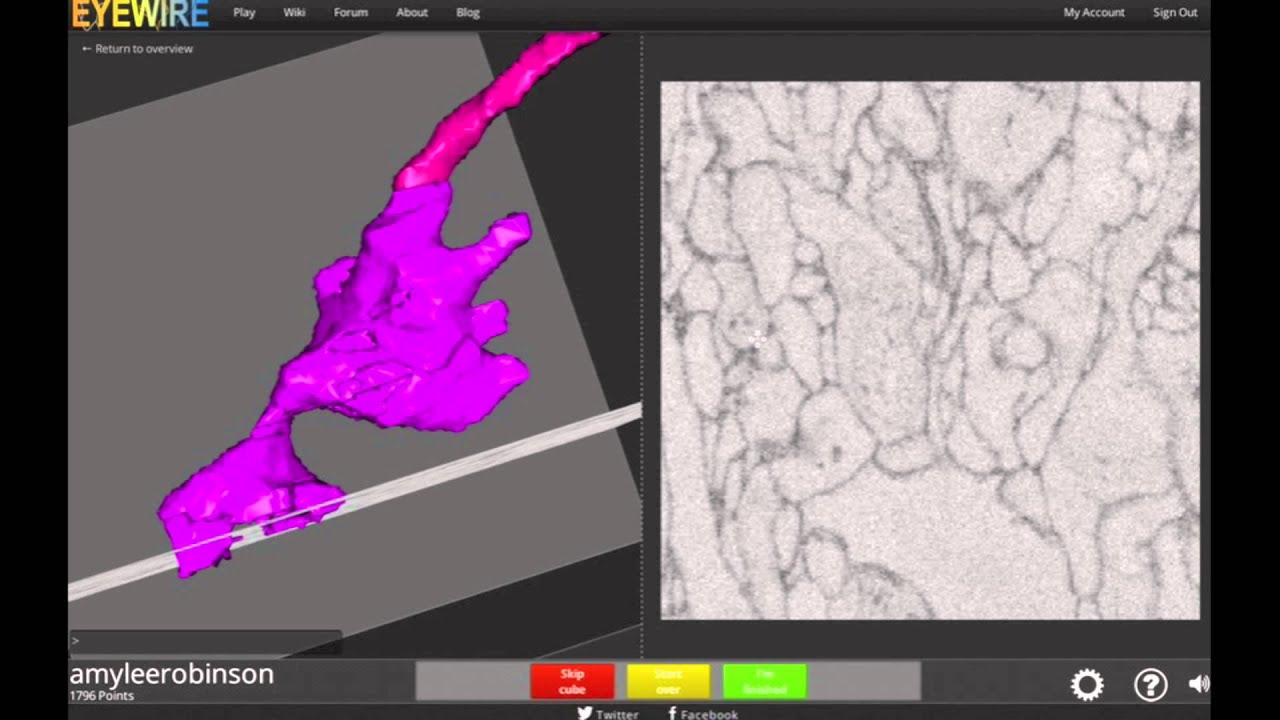 EyeWire Tutorial: Why map neurons if the AI already knows? (You can do what a computer can't)